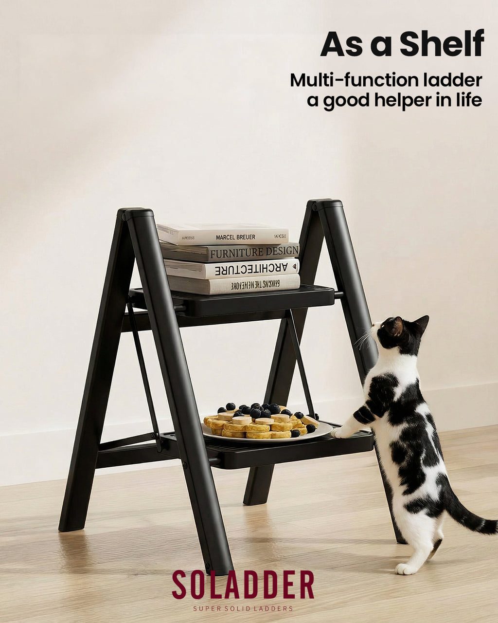 2-Step Folding Ladder – Matte Black